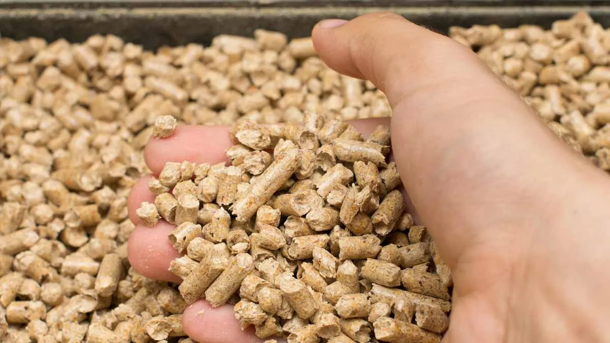 Pellets sicher lagern: Heizkraftverlust bei Holzpellets vermeiden