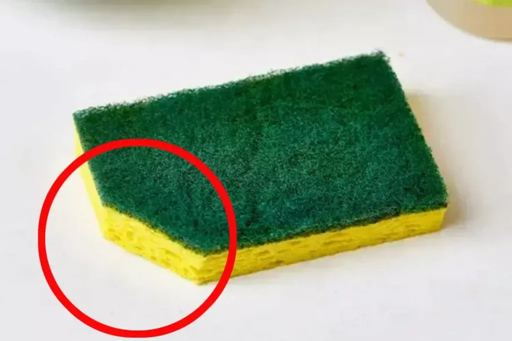 Ein einfacher Küchentipp, der die Reinigung verändert — der Schwamm-Hack